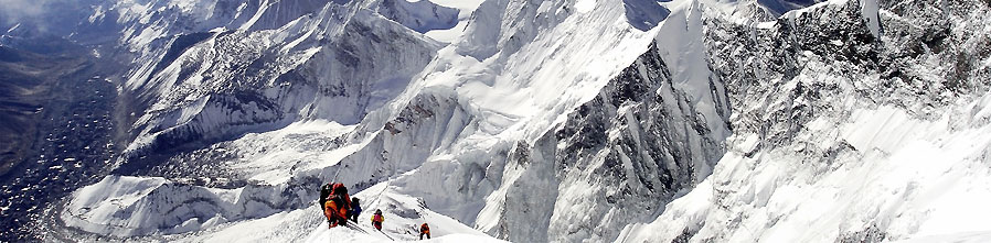 FORTITUDE